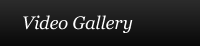 Video Gallery